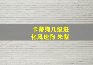 卡蒂狗几级进化风速狗 朱紫